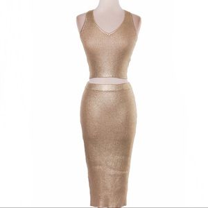 Hera Collection | Metallic Gold 2 Piece Skirt Set
